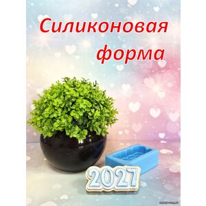 2027, силиконовая форма