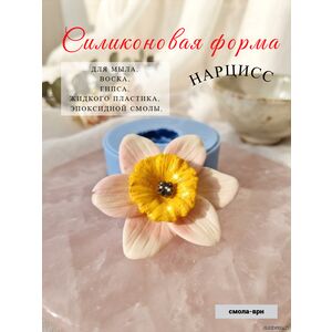 Нарцисс, Силикогновая форма