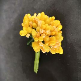 Тычинки для цветов Желтые